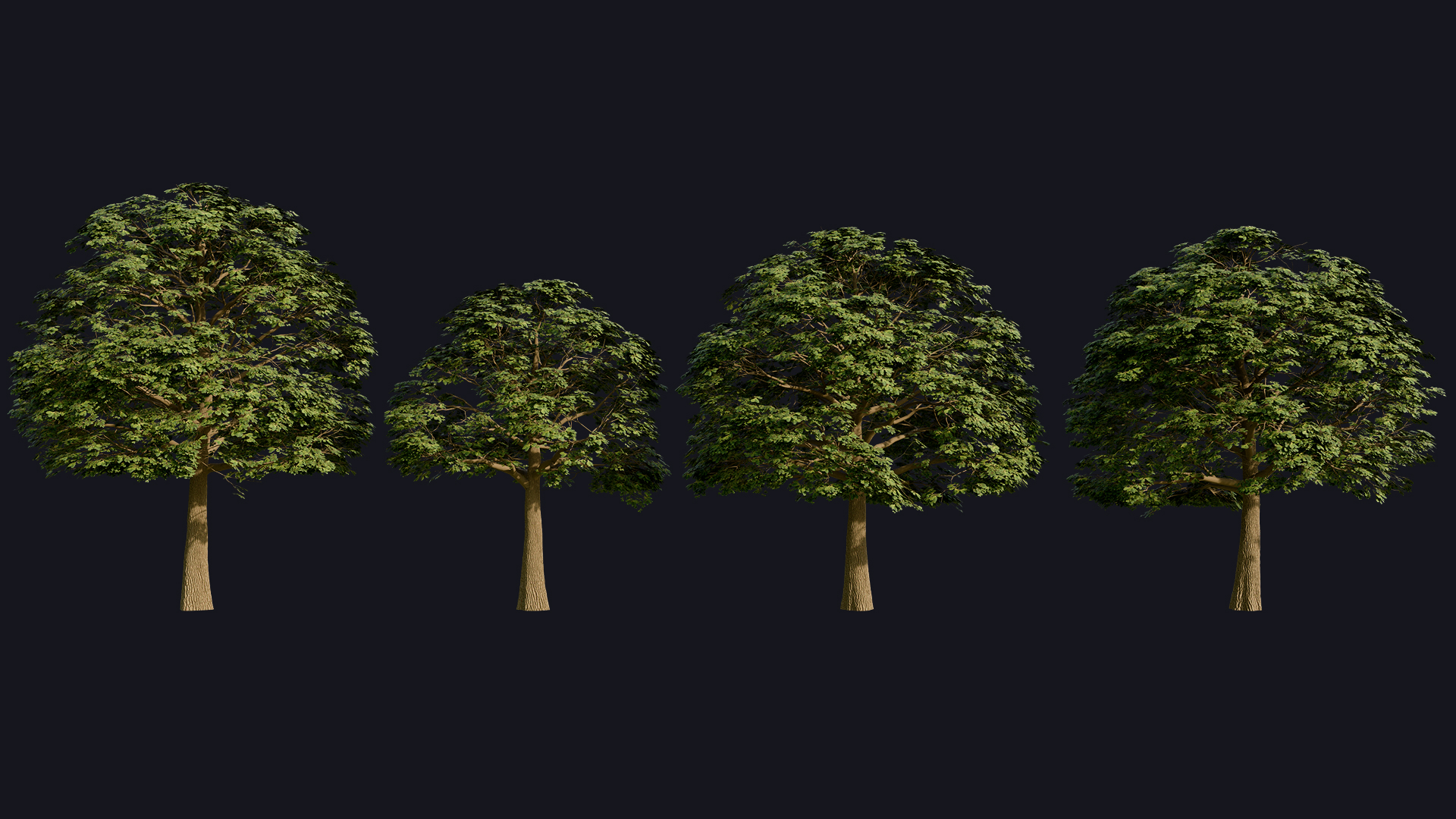 Oak Trees preview